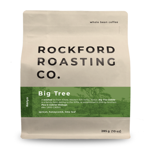 BIG TREE