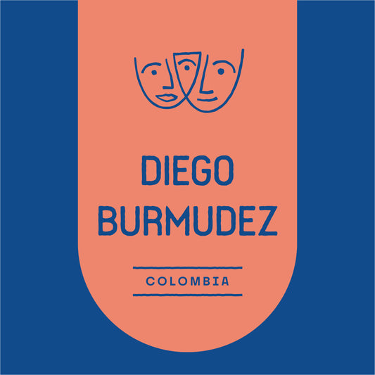 Diego Burmudez
