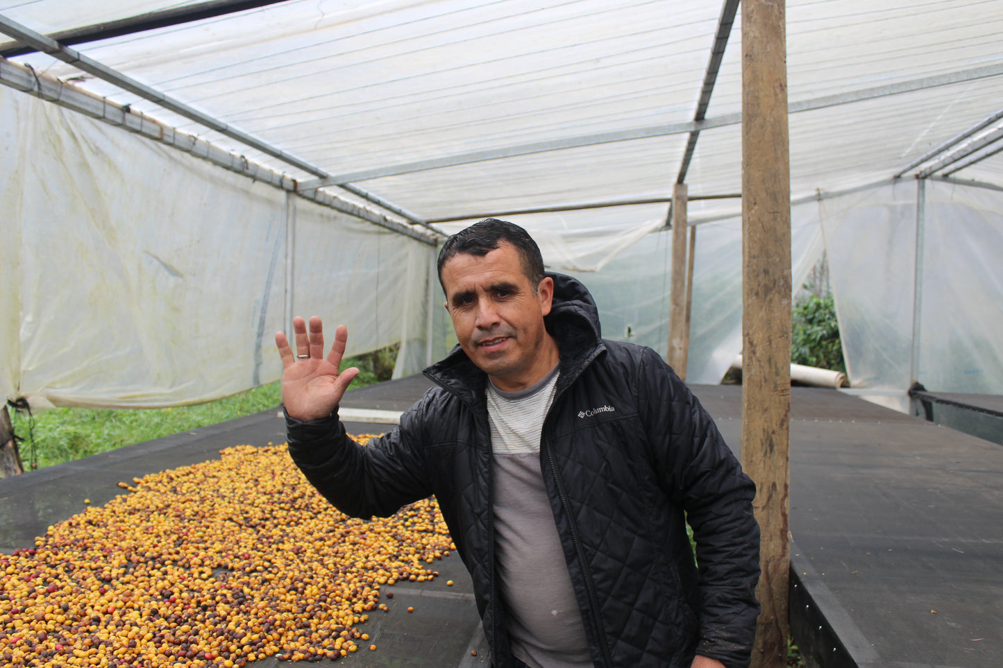 JAVIER FERNANDEZ GESHA