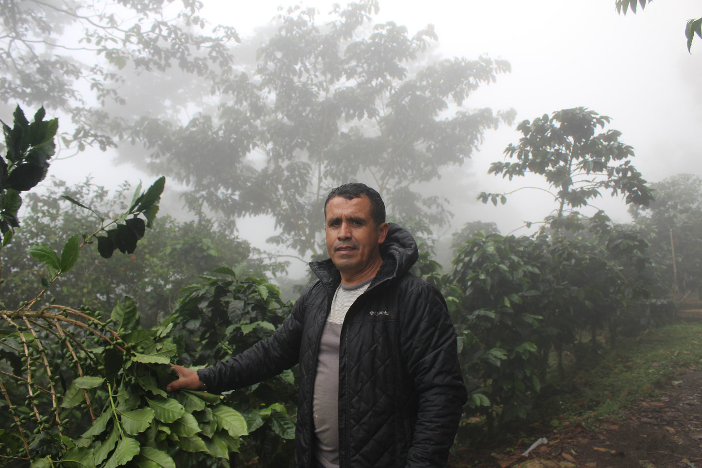 JAVIER FERNANDEZ GESHA