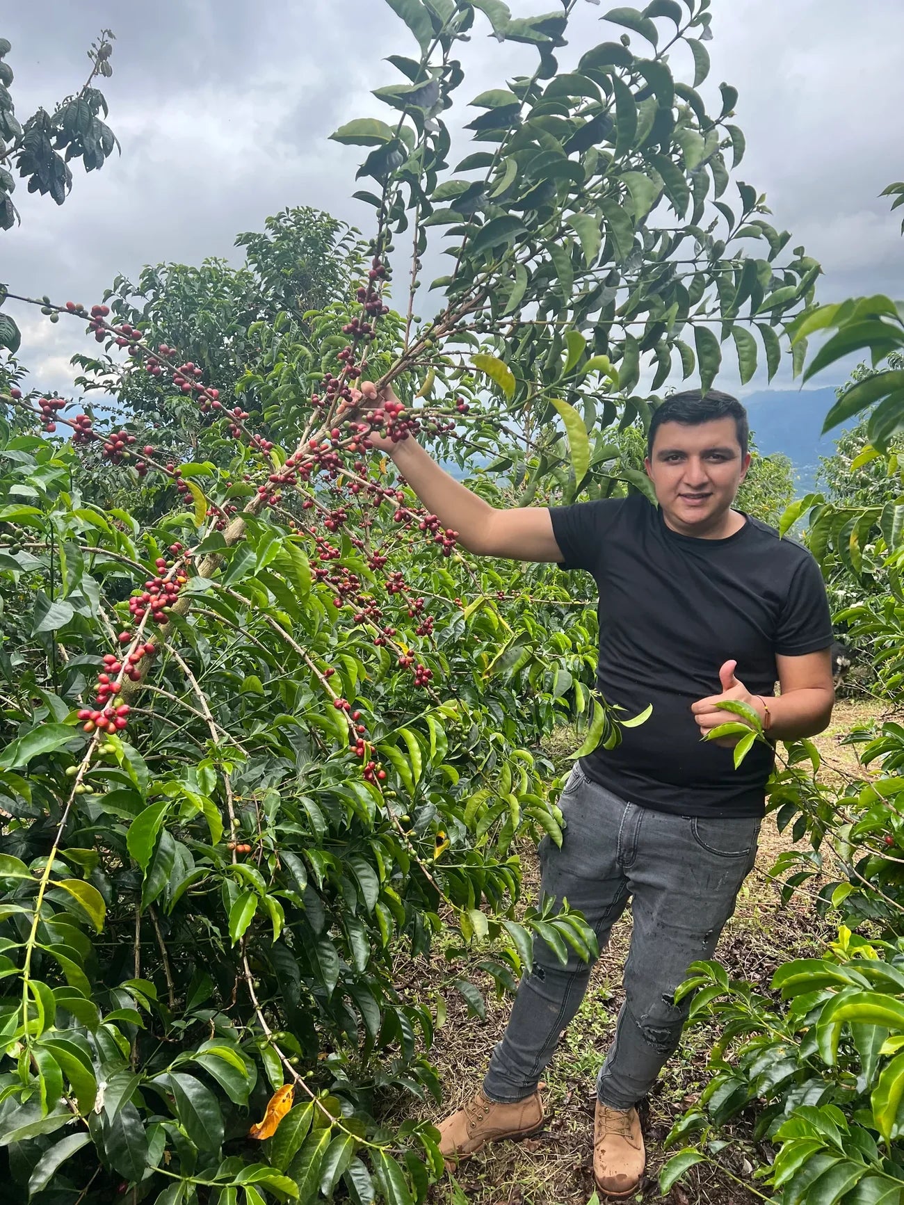 NESTOR LASSO JAVA