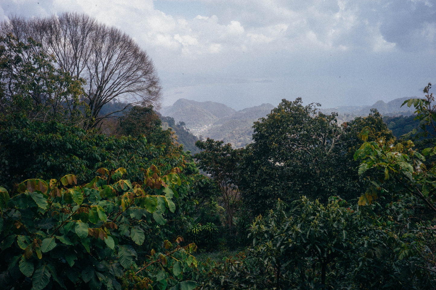 Nahun Fernandez